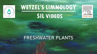 Freshwater Plants  Wetzels Limnology SIL Videos [upl. by Olia]