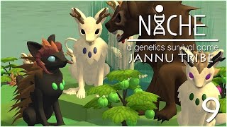 A Dashing Defender Arrives • Niche Jannu Tribe  Episode 9 [upl. by Irod]