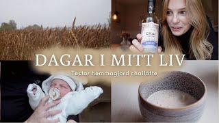 LIVET SOM NY MAMMA👶🏼🍼  Hemmagjord chailatte nya rutiner amp mysiga höstdagar 🤎🍂 [upl. by Aiseneg]