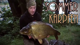 Karpfenangeln am sommerlichen See  mit Robin Illner [upl. by Bronder]