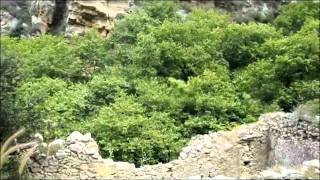 Wandelen skalopatia kloof Kreta Canyons on Crete [upl. by Woods]