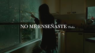 Thalia  No me enseñaste letra [upl. by Eendyc78]