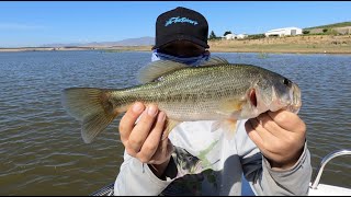 Crazy Bass And Carp Fishing At Theewaterskloof Dam [upl. by Kelley]