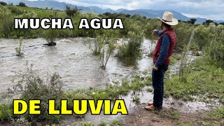 A Llovido Mucho Pero No Todas Las Presas De Zacatecas Se Están Favoreciendo🌧️🐄👏🐴🏞️ [upl. by Drareg228]