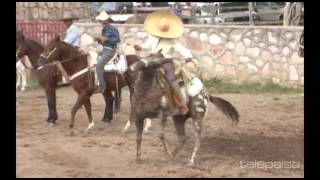 11  Lo Mejor de los Coleaderos  El Montecillo Jerez Zacatecas [upl. by Alika]