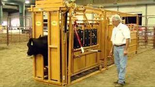 Sioux Steel Squeeze Chute  LivestockShed [upl. by Kolb]