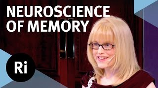 The Neuroscience of Memory  Eleanor Maguire [upl. by Sapers]