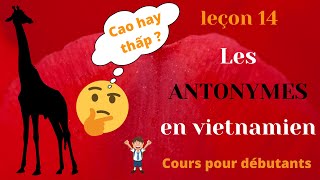 Leçon 14  les ANTONYMES en vietnamien  Cours pour débutants  Aller Ô Vietnam [upl. by Eillor]