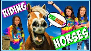 Horses for Kids  Learn How to Ride a Horse  All About Horses [upl. by Anikas]