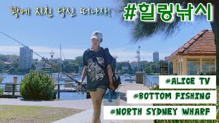 ENG SUB꽝에 지친 앨리스 스트레스 해소하러 힐링 원투낚시 Kirribilli wharf bottom fishing 시드니 낚시 Sydney fishing [upl. by Ab326]