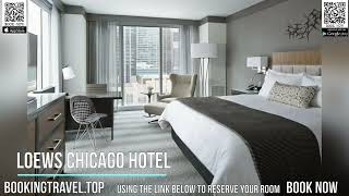 Loews Chicago Hotel [upl. by Odrawde377]