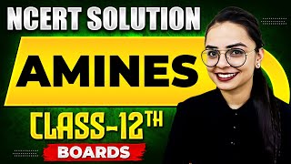 AMINES  NCERT Solutions  Chemistry Chapter 10  Class 12th Boards [upl. by Eenaffit549]