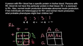 Punnett Squares  Basic Introduction [upl. by Lenhart]