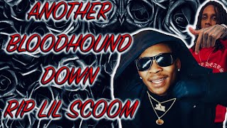 The Bloodhounds Take Another Loss Lil Scoom Deleted Only A Month After Lil Jeff [upl. by Anerak]