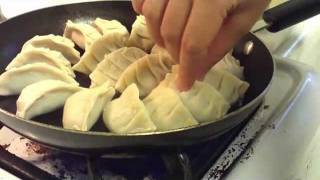 How to make Gyoza [upl. by Atteirneh905]