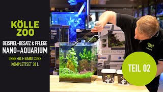 UPDATE Beispielbesatz und Pflege Dennerle Nano Cube Komplettset 30 L  KÖLLE ZOO [upl. by Knowle]