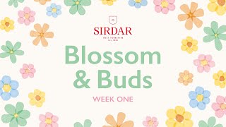 Sirdar Blossom amp Buds Crochet Along Week 1  First Buds [upl. by Arihsay]