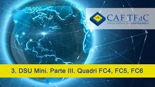 DSU Mini Parte III Quadri FC4 FC5 FC6 [upl. by Boylston]