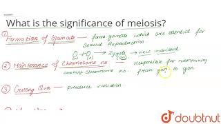 What is the significance of meiosis [upl. by Maice]