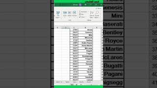 يخرب بيت المدير💚🤣 excel اكسبلور exceltips محاسبة excelclub exceltricks اكسل exceltech ترند [upl. by Aerbua]