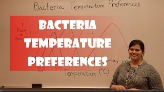 Bacteria Temperature Preferences [upl. by Vaclava]