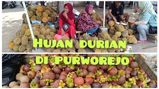 HUJAN DURIAN DI PURWOREJO 😍😍🥰 [upl. by Gefell]