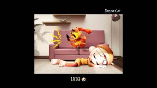 DOG vs CAT  POPPY PLAYTIME CHAPTER 3  GHS ANIMATION [upl. by Noivad]