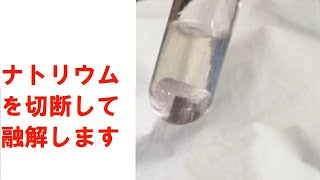 ナトリウムの切断と融解 Cut and melt sodium [upl. by Nnylasor]