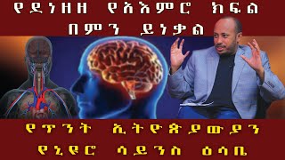 የደነዘዘ አእምሮ በምን ይነቃል የ2ቱ አእምሮ ክፍሎች [upl. by Gregson746]