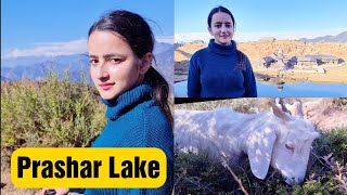 Prashar Lake  Miraculous Floating Island  Heaven On Earth  Jyotika Dilaik [upl. by Winnifred]