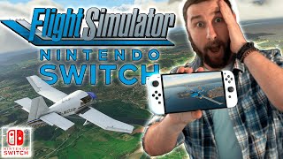 Flight Simulator NINTENDO SWITCH 😱 SEULEMENT 3€ 😱 [upl. by Sherline]