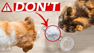 DIATOMACEOUS EARTH For Fleas And Ticks Control » a hidden DANGER [upl. by Lesly]