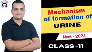 Mechanism of formation of URINE  CBSE  Class 11th  Is se asaan kahi nahi  JPT BIOLOGY ACADEMY [upl. by Oberg174]