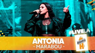 ANTONIA  Marabou  LiveLaH [upl. by Lisandra]