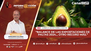 Balance de las exportaciones de paltas 2024… otro récord más [upl. by Cloots]