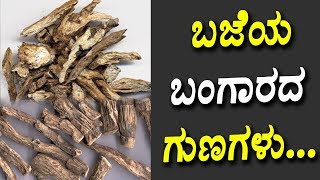 ಬಜೆಯ ಬಂಗಾರದ ಗುಣಗಳು  Health benefits of Acorus Calamus  Kannada Health Tips [upl. by Dnomal111]