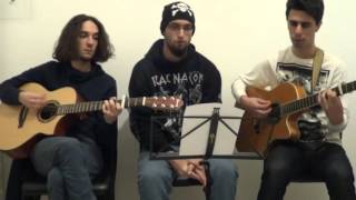 Ensiferum  Wanderer Acoustic cover [upl. by Tatia]