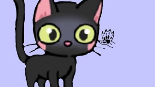 apache escapa de casa🐈‍⬛🐱🐈🐾🐾 [upl. by Darra]