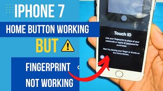 iPhone 7 Fingerprint Not Working But Home Button Working How To Solution  Hindi Video [upl. by Freeborn666]