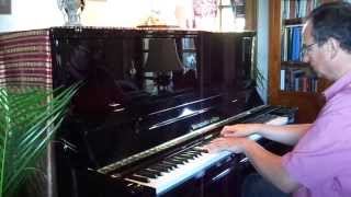 Chopin AEOLIAN HARP Etude op25 no1  STEINGRAEBER 130 amp Dominique Mottaz [upl. by Woodford408]