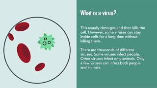 Viral Infections Causes Diagnosis Prevention and Treatment  Merck Manual Consumer Version [upl. by Mas]