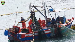 ASÍ PESCAN los PESCADORES DESDE EL BARCO DE PESCA  pesca con Red en el Mar [upl. by Eeznyl]