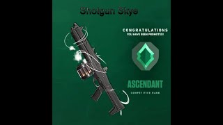 What an Ascendant Shotgun Only Skye Looks Like [upl. by Kire]