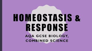 Homeostasis Revision  GCSE BiologyCombined Science [upl. by Lorien]