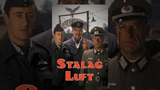 Stalag Luft [upl. by Dronel]