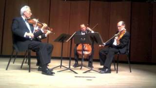 Guarneri Quartet  Beethoven String Quartet no 13 Op 130  V Cavatina Adagio molto espressivo [upl. by Iolande]