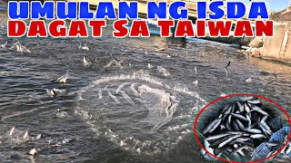 UMULAN NG SOBRANG DAMING ISDA SA DAGAT NG TAIWAN 😱😨 [upl. by Nade]