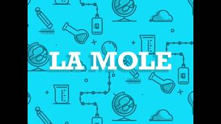 LA MOLE teoria ed esercizi [upl. by Aicen870]