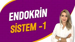 Endokrin Sistem  1  Seda Hoca Biyoloji  3 Ders  sedahocabiyoloji ayt2023 [upl. by Cadell]