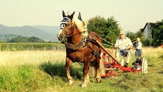 Historische HeuErnte 2012 in AchernFautenbach [upl. by Retsae]